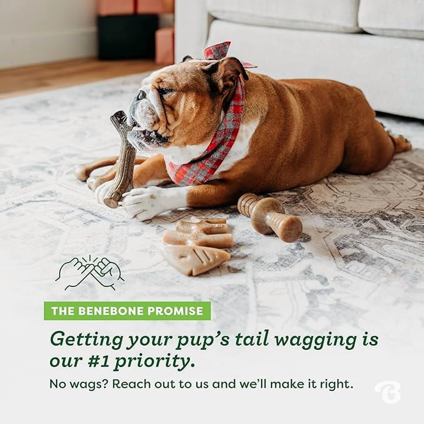 Benebone Medium 4-Pack Bacon Dog Chew Toys photo 6