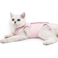 thumbnail image 1 of Female Cat Sterilization Suit, 1 of 1