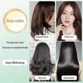 thumbnail image 4 of 2026 Natural Plant Hair Dye Bubble New Botanical Based Color Bubble Dye for Grey Hair, 4 of 5