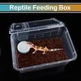 thumbnail image 3 of 5 Pcs Spider Small Terrariums Breeding Box Transparent Hatching Container Plastic Feeding Box for Small Reptile Spider Scorpion Centipede Insect, 3 of 3