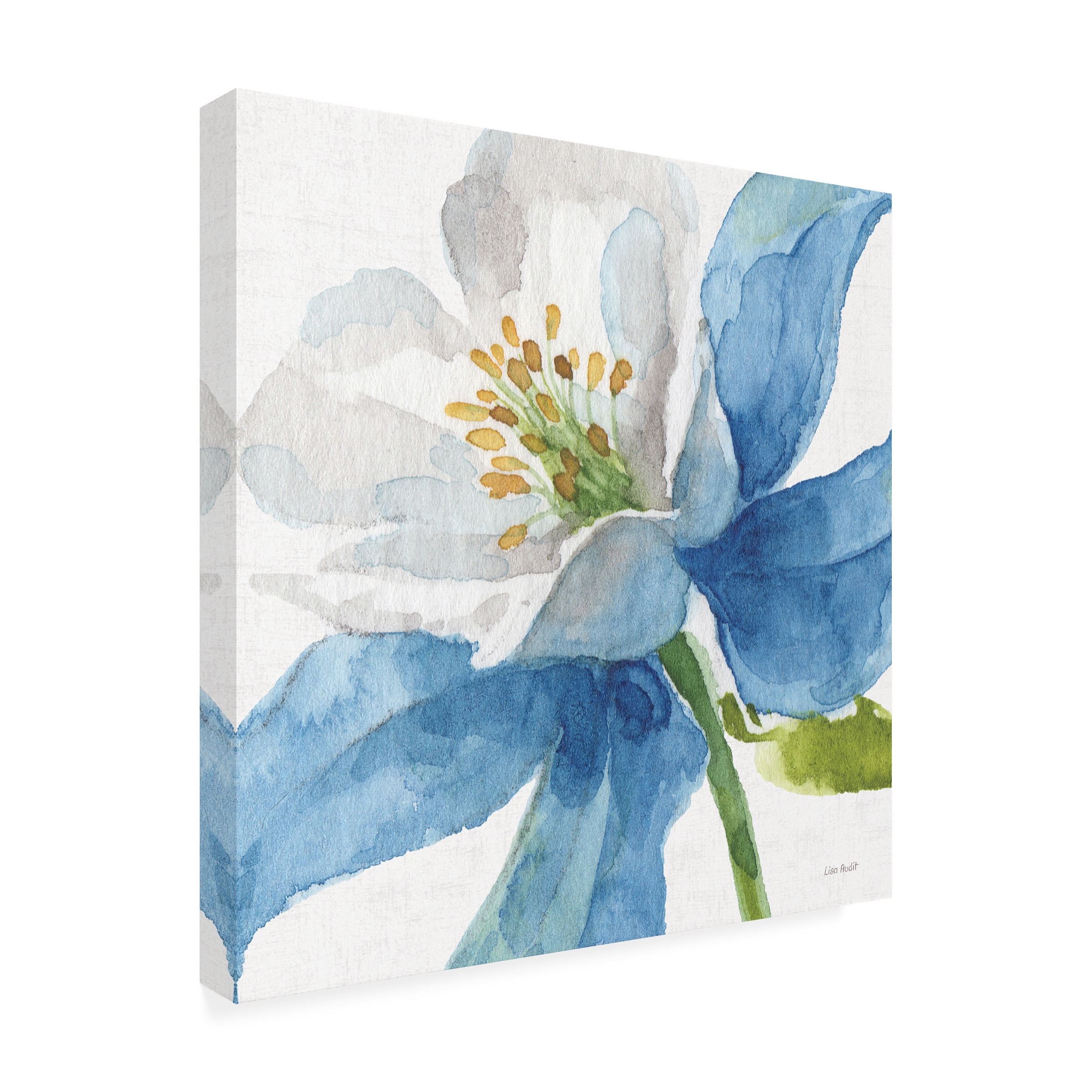 Trademark Fine Art 'Blue and Green Garden VI' Canvas Art by Lisa Audit