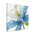 thumbnail image 4 of Trademark Fine Art 'Blue and Green Garden VI' Canvas Art by Lisa Audit, 4 of 4