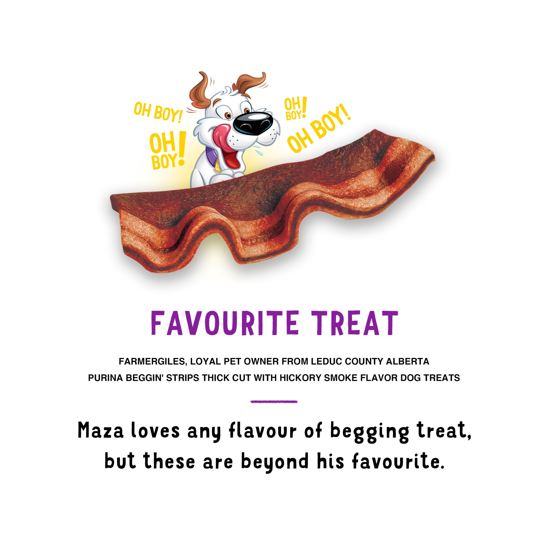 Purina Beggin' Strips With Real Meat Dog Treats, Thick Cut Hickory Smoke Flavor