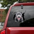 thumbnail image 2 of Pegatina para coche de bulldog, PVC, 30 x 30 cm, fondo transparente, adhesivo removible para coche, pared, portátil y superficies lisas, 2 of 3