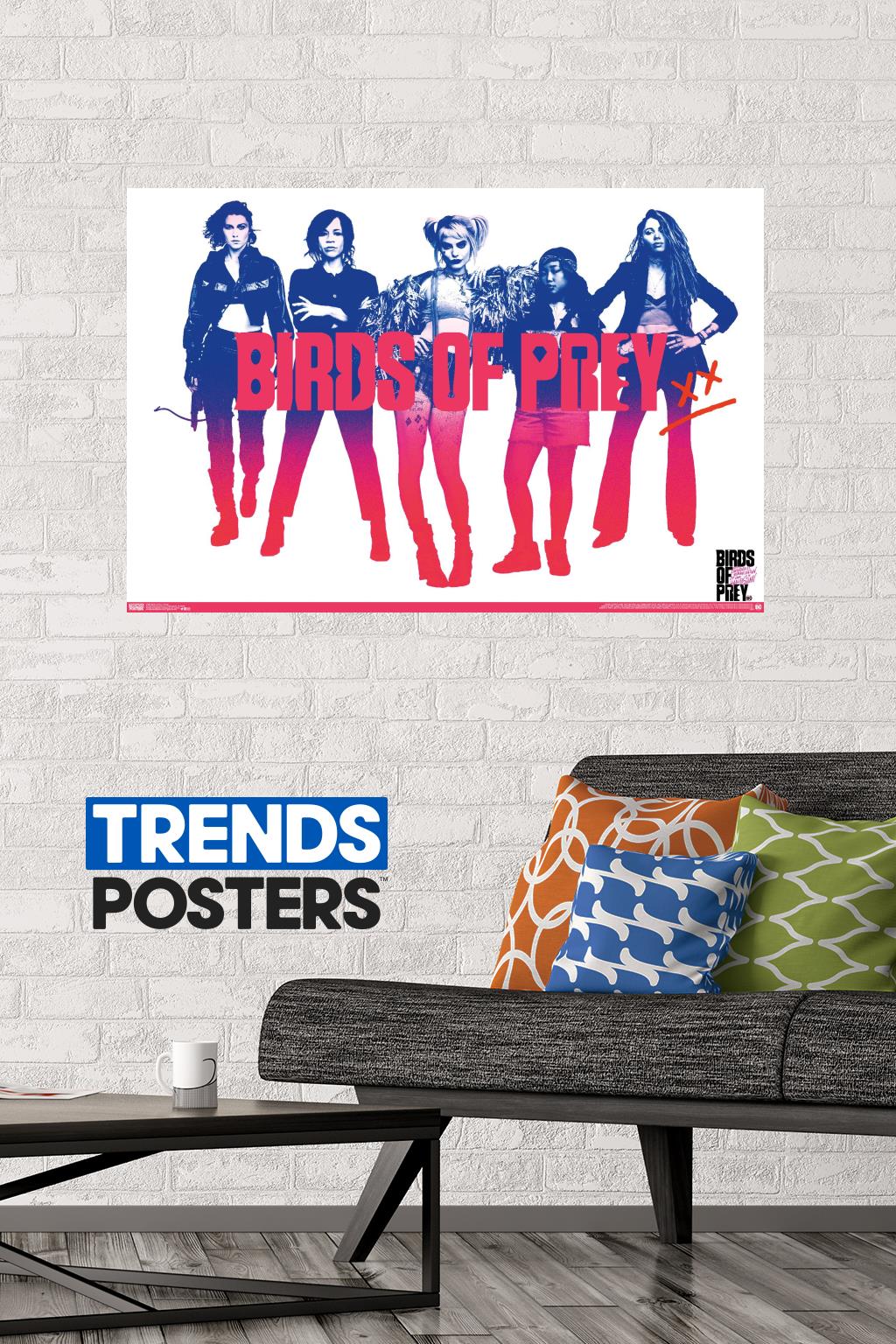 DC Comics Movie - Birds of Prey - Group Wall Poster, 22.375" x 34"