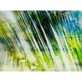 thumbnail image 2 of Pfrommer, Sven 18x15 Gold Ornate Wood Framed with Double Matting Museum Art Print Titled - Evergreen No. 6, 2 of 4