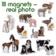 thumbnail image 2 of Set educativo Magdum con 18 imanes para nevera con forma de animal para niños, 2 of 9