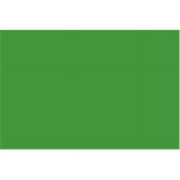 (Price/Case of 25)Bazic Products 5017-25 22" X 28" Green Poster Board