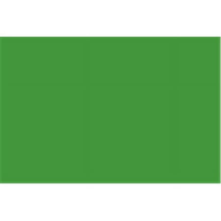 (Price/Case of 25)Bazic Products 5017-25 22" X 28" Green Poster Board