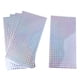 thumbnail image 2 of Paquete de 5 pegatinas holográficas reflectantes para escamas de pesca Plata, 2 of 6
