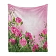 thumbnail image 1 of Flower Soft Flannel Fleece Throw Blanket, Spring Season Time Roses Leaves and Buds Ombre Atmosphere Image, Cozy Plush for Indoor and Outdoor Use, 70" x 90", Pink and Green, by Ambesonne, 1 of 6
