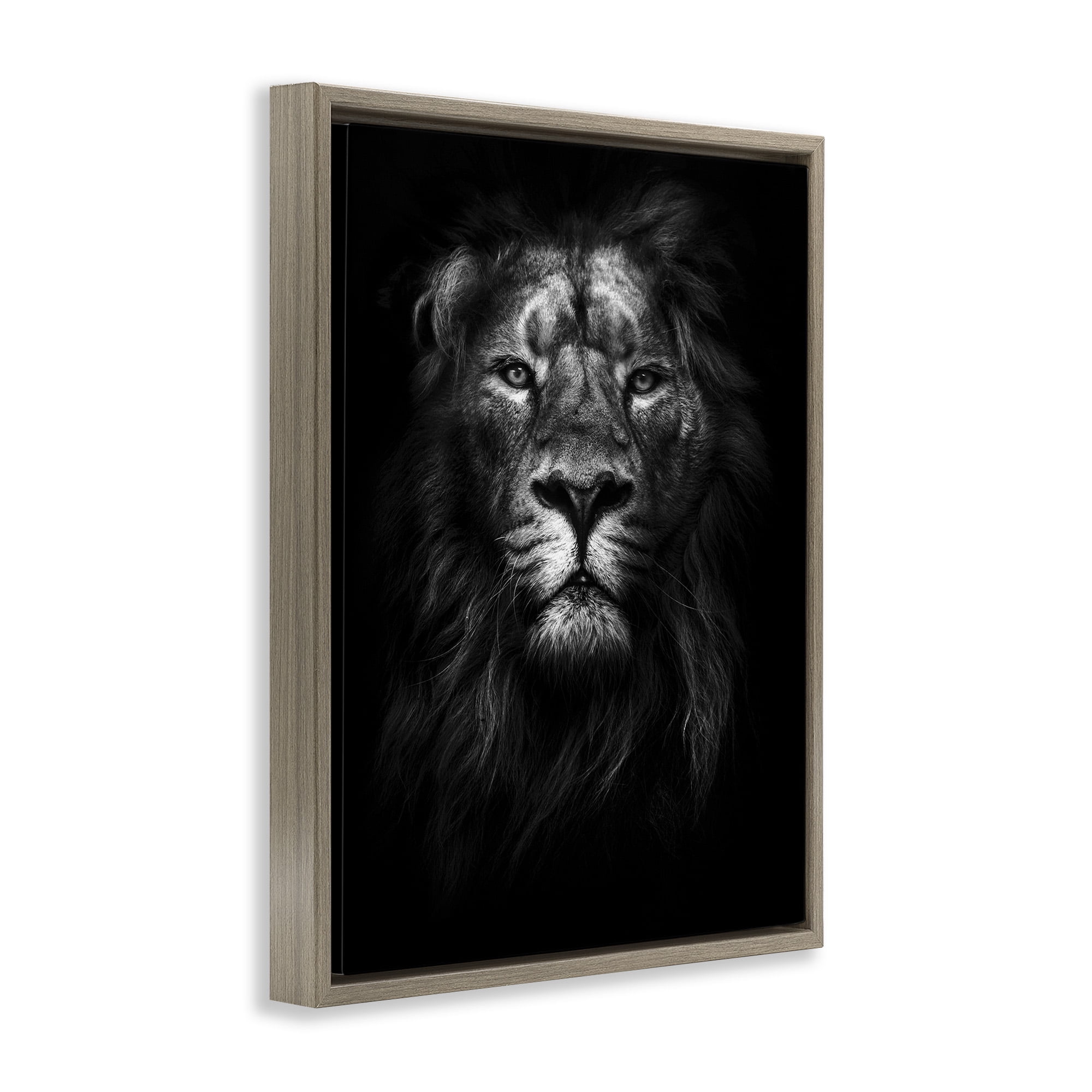 Stupell Industries Lion In Shadows Photography Animals & Insects Photography Brown Floater Framed Canvas Art Print Wall Art, 17 x 21