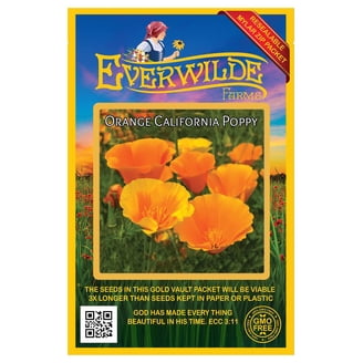 Flowering Tobacco Seeds/ Annual/ Full Sun/800 Seeds 1/10 Gram/ Zellajake  Farm and Garden- B300