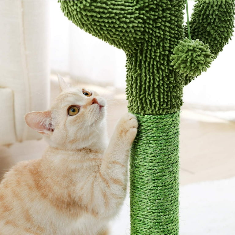Cat scratching post for sale cheap