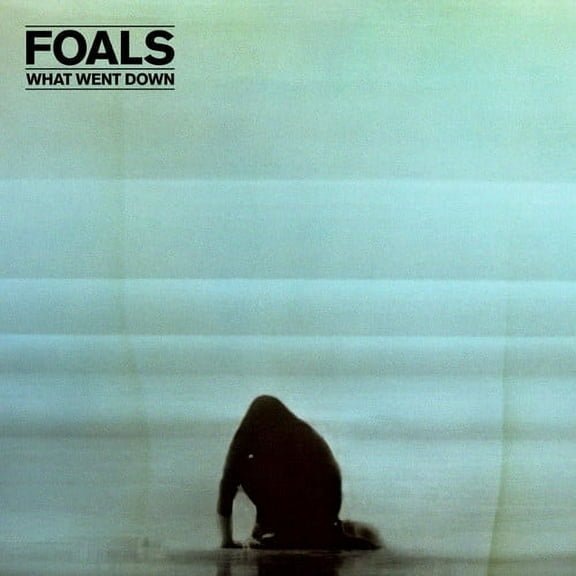 Foals - What Went Down - Music & Performance - CD