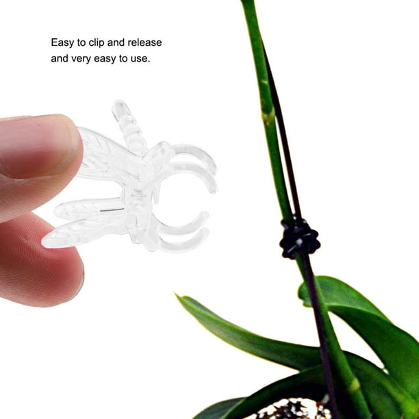 Herramientas De Jardín De 100 Piezas Clips Del Vástago Crece De Plástico De Plástico Vertical Clips De Soporte De Flores Clips De Navidad Clips Rosa Transparente