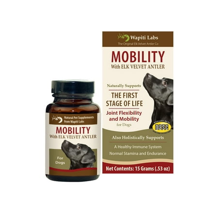 Wapiti Labs Elk Antler Dog Mobility Powder,15g