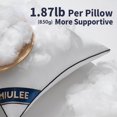 thumbnail image 2 of Insertos de almohada MIULEE de 20 x 20 pulgadas Premium Down Alternative x2, 2 of 7