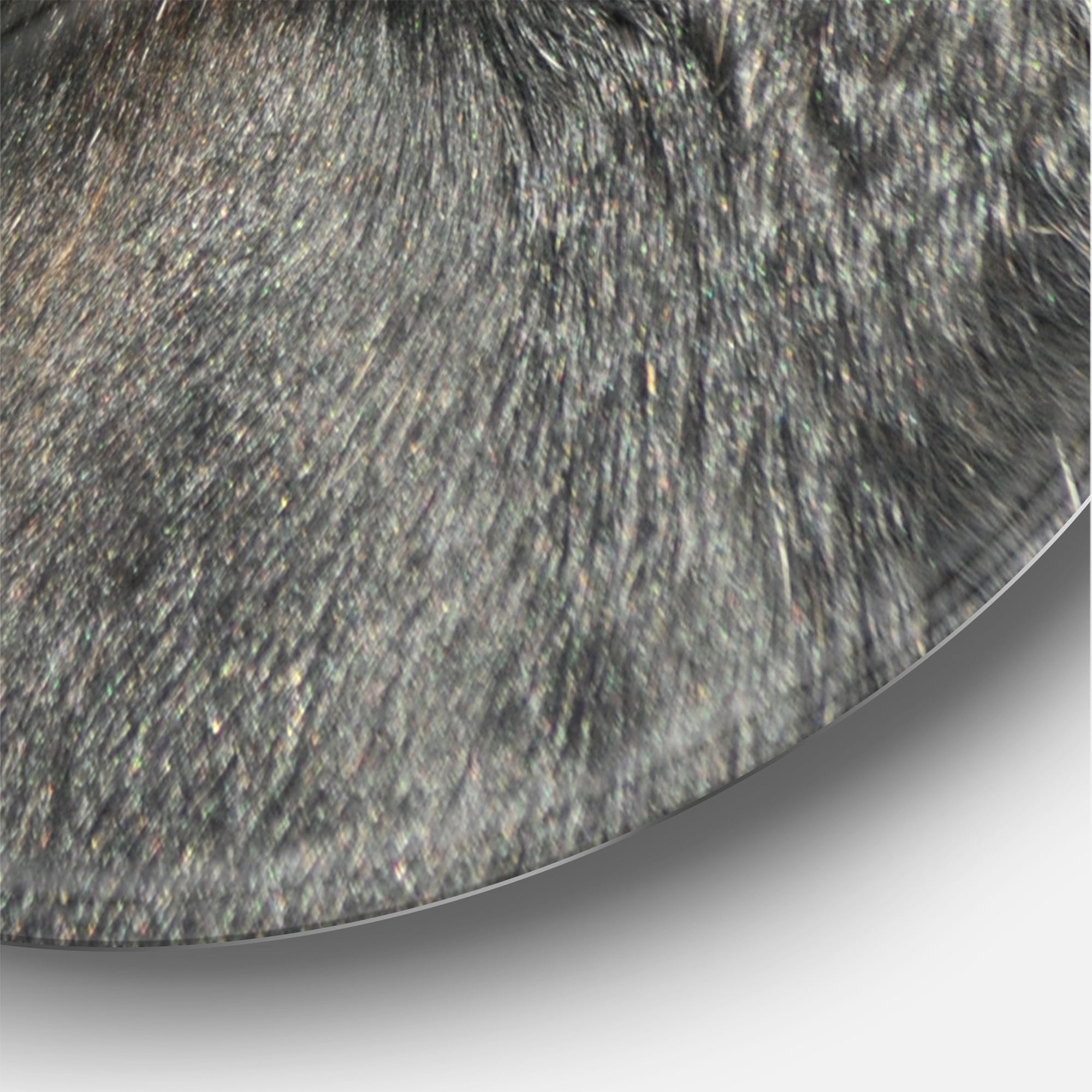 Designart 'Close-Up Of Cow Eye' Farmhouse Circle Metal Wall Art 29x29 - Disc of 29