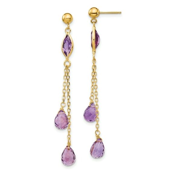 Primal Gold 14 Karat Yellow Gold Amethyst Post Dangle Earrings