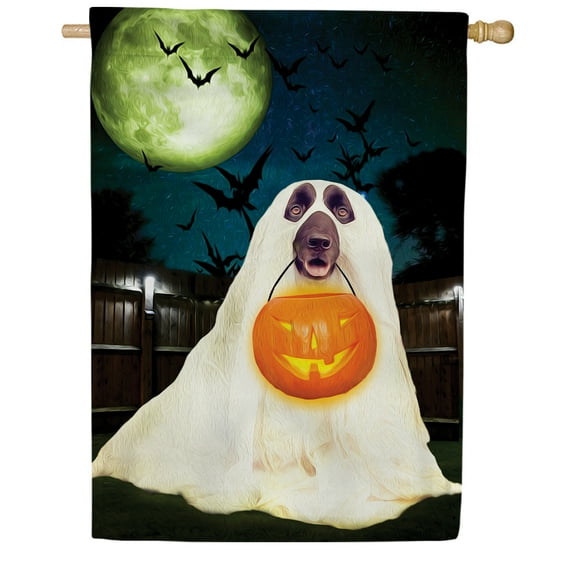 America Forever Halloween Dog House Flag Jack O'Lantern Double Sided Vertical 28 x 40 inches for Outdoors, Yard, Porch Garden Decoration Halloween Decor Fall Spooky Flag