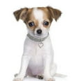 thumbnail image 4 of Collar de perro con brillantes diamantes de imitación en forma de corazón para mascotas de Dog Kingdom, 4 of 5