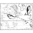 thumbnail image 2 of Pisces Constellation, Zodiac Sign, Hevelius Poster Print by Science Source (24 x 18), 2 of 4