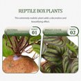thumbnail image 3 of IDEANATEGRATE Artificiales Realistas Para Terrarios Reptiles Y De Acuarios, 3 of 7