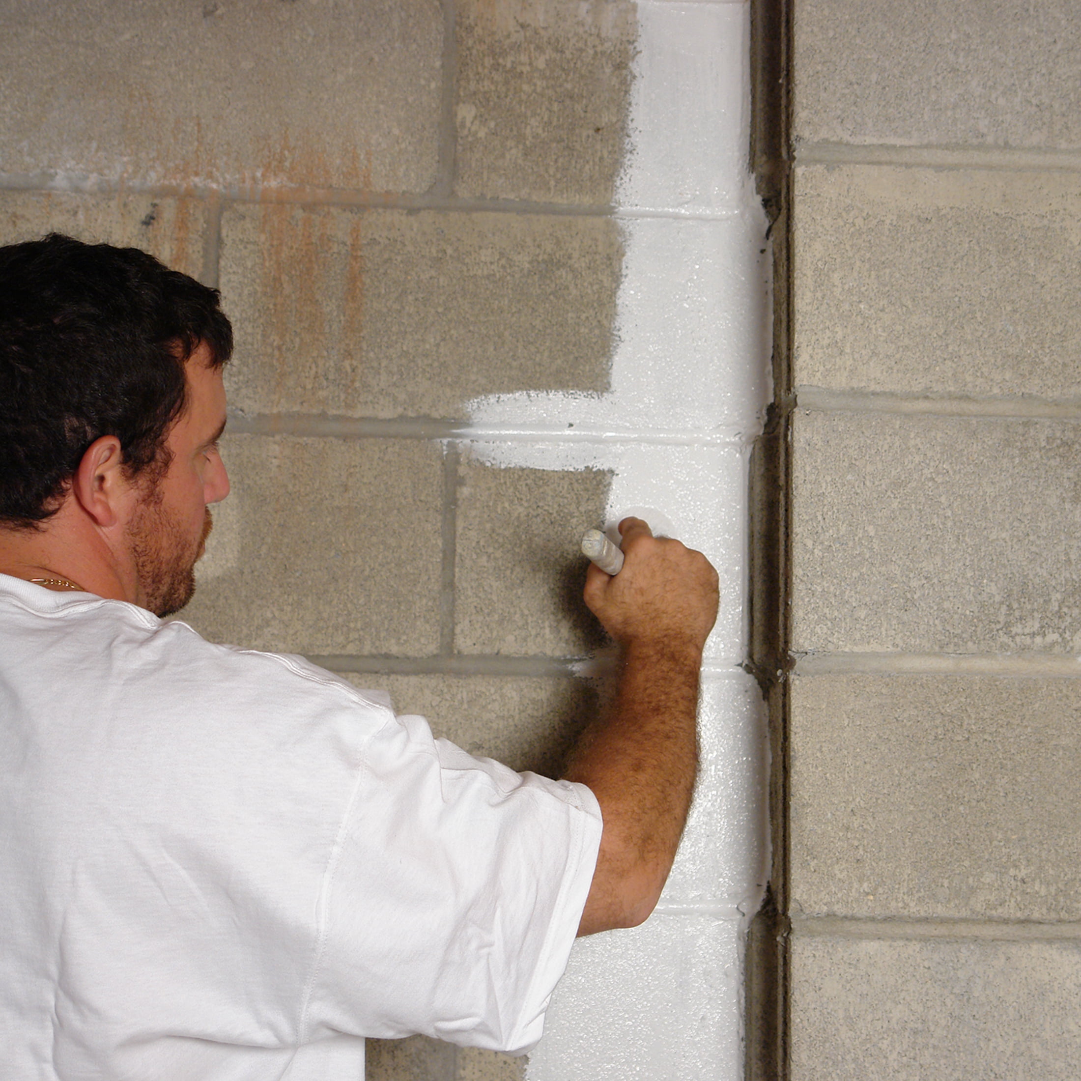 Bright White, Zinsser WaterTite Professional Matte Mold and Mildew-Proof Waterproofing Paint, 5 Gallon, 1 Pack