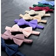 thumbnail image 3 of Spring Notion Men's Microfiber Dotted Bow Tie, 3 of 3
