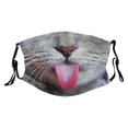 thumbnail image 1 of Funny Animal Face Reusable Washable with Tiger Cat Dog Monkey Pig Designs for Kids & Adults, 1 of 5