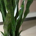 43'' Tall Green Artificial Snake Plant, Faux Sansevieria with 20 Leaves