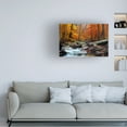 thumbnail image 2 of Trademark Fine Art CATeyes Ultimate Truth Canvas Wall Art - 22x32, 2 of 5