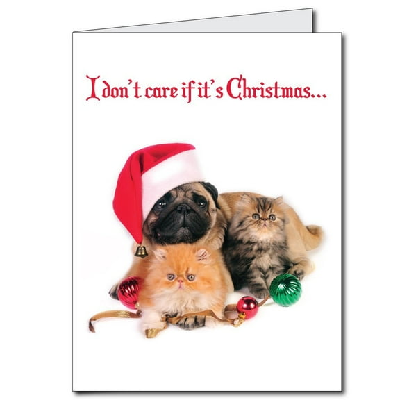 2' x 3' Giant Christmas Card, Dog and Cat, W/ Envelope