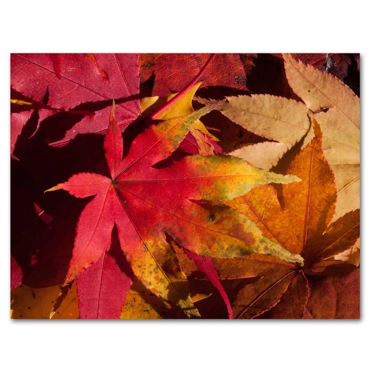 Small World Greetings Fall Leaves Blank Cards - 12 Count A2 (5.5"x4.25") Cards With Envelopes For Thanksgiving & Autumn
