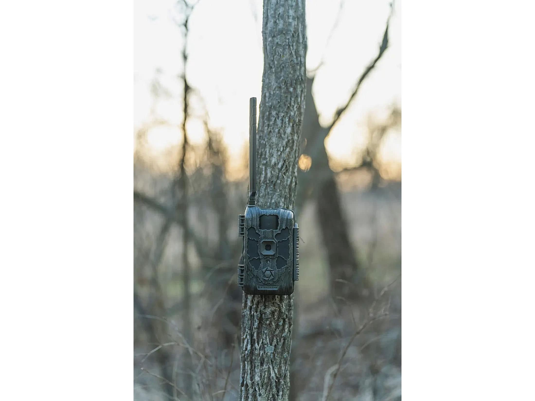 Stealth Cam Deceptor Max 40MP Cellular Trail Camera 2 Pack, 1440p Video, No-Glo Infrared, Dual Network, 36 LED (STC-DCPTRX-2PK)