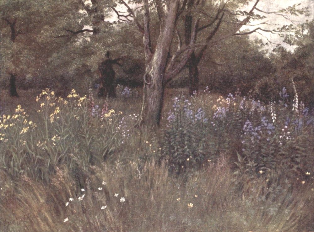 Kew Gardens 1908 Wi