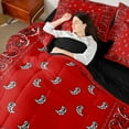 thumbnail image 4 of Castle Fairy Kids Teenagers Boho Red Paisley Bedding Comforter Set 7-Piece,Abstract Hippie Exotic Style Flower King Bedding Sets,Bohemian Mandala Vintage Aesthetic Ultra Soft Bed Sheets, 4 of 8
