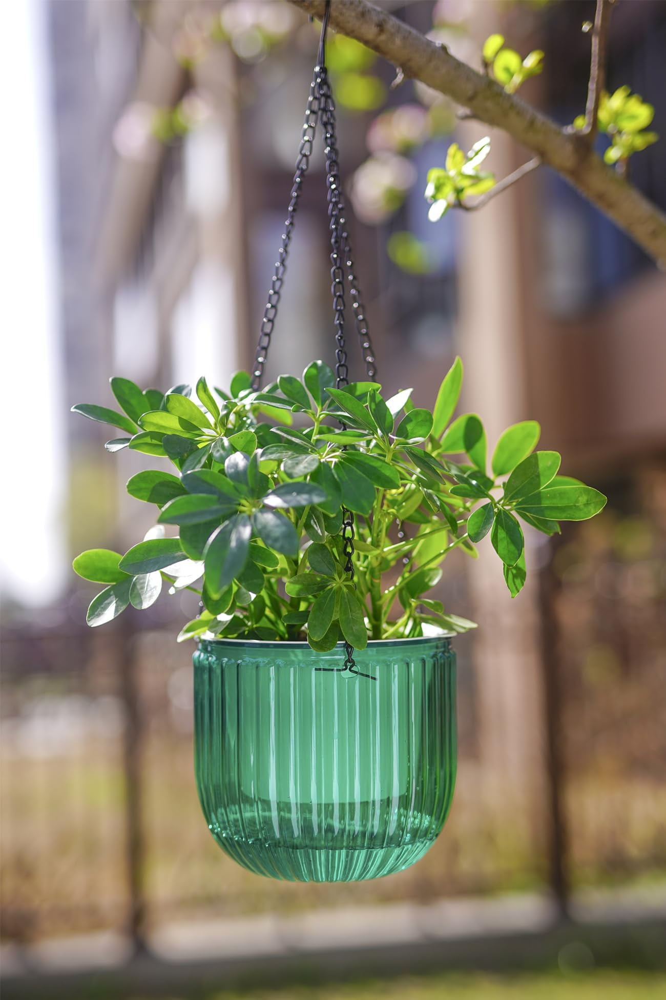 2 Pack Self Watering Hanging Planters 6.5 Inch Indoor Outdoor Flower Pots with Drainage Holes and Hooks for Garden Home Decor