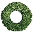 thumbnail image 3 of Mills Floral Company Boxwood Round Wreath, Single Side 16", 3 of 4