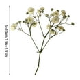 100PCS Bulk Dried Gypsophila Flowers For Pressing Craft DIY Materials For Bookmarks Center Stage