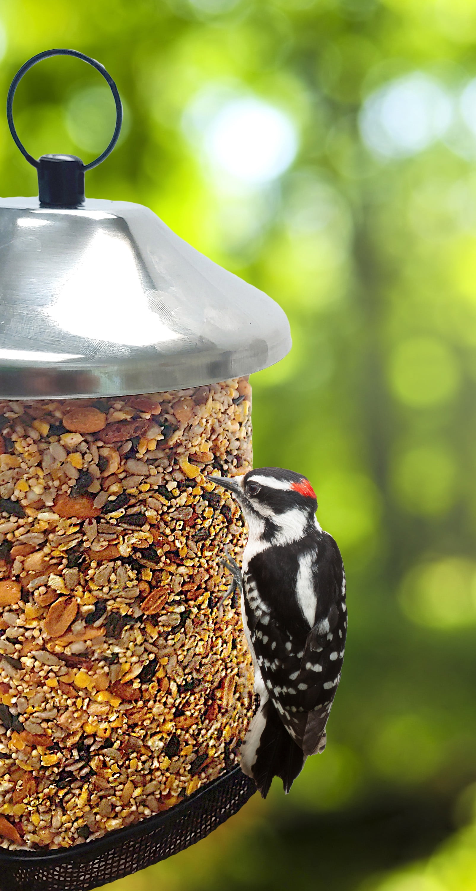 Songbird Treats Woodpecker Crunch Seed Tower 2 Pack | 2lbs each | Bundle of 2 two Seed Log Towers for Wild Birds | Woodpecker Crunch 2 Pack 32 oz each