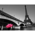 thumbnail image 2 of Frank, Assaf 14x12 Gold Ornate Wood Framed with Double Matting Museum Art Print Titled - Bridge over river Siene with Eifflel tower in background, Paris, France, 2 of 4