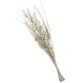 thumbnail image 5 of 40" Handmade Tall Floral Grass Bouquet Dried Plant Natural Foliage Palm Leaf Bouquet with Gray Accents, by DecMode, 5 of 7