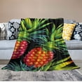 thumbnail image 2 of JRXY Adult Watercolor Pineapple Tropical Palm Leaves Throw Blanket Fashion Plush Throw Blankets All Season Ultra-Soft Micro Blanket Gifts for Christamas and Birthday White, 2 of 6