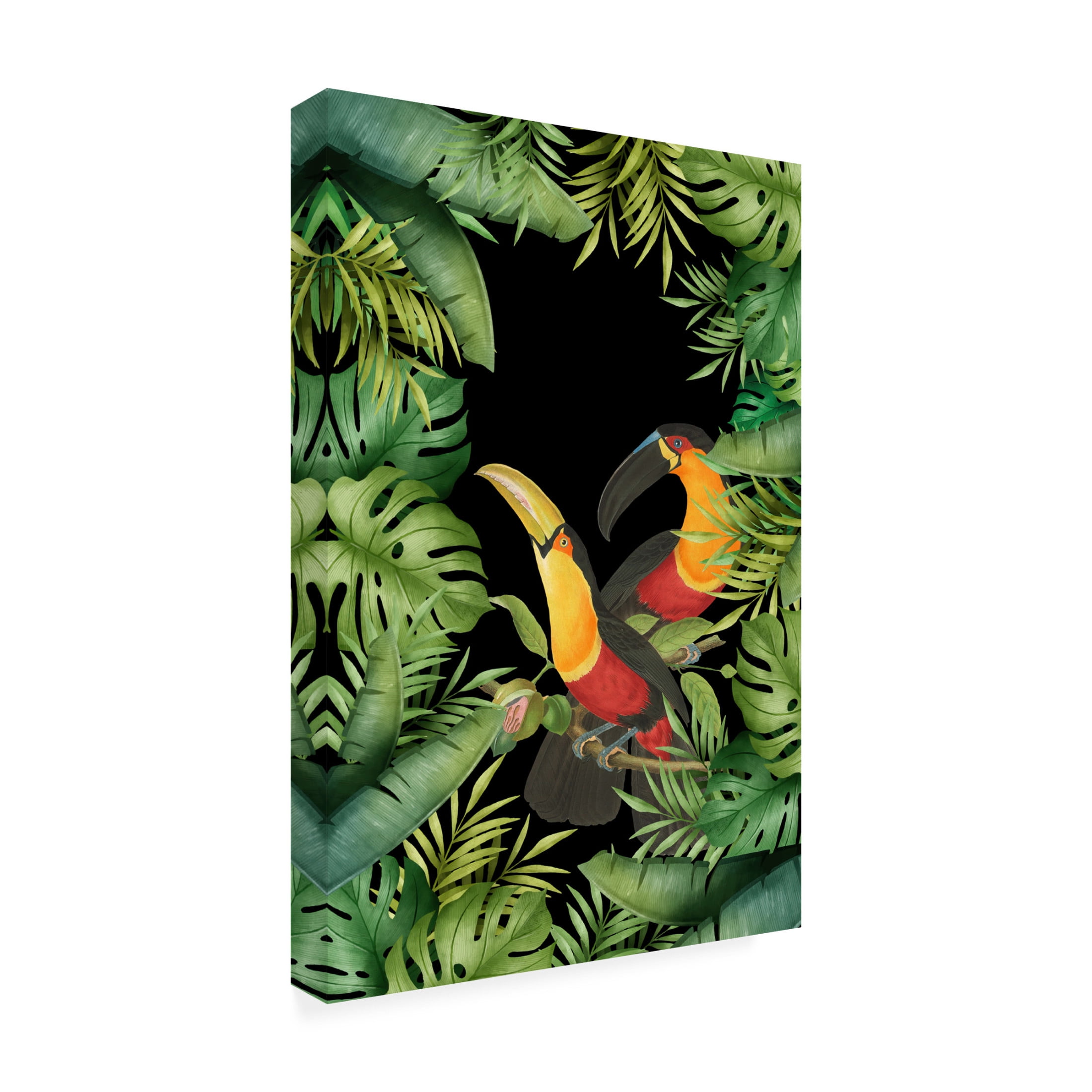 Trademark Fine Art Andrea Haase  Jungle With Toucans Canvas Wall Art