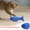 A, variant on Cat Toys for Indoor Cats, Catnip Stuffed Cotton Fish Chew Toy for Kittens, Interactive Sackcloth Grinding Toy for Dental Health,H