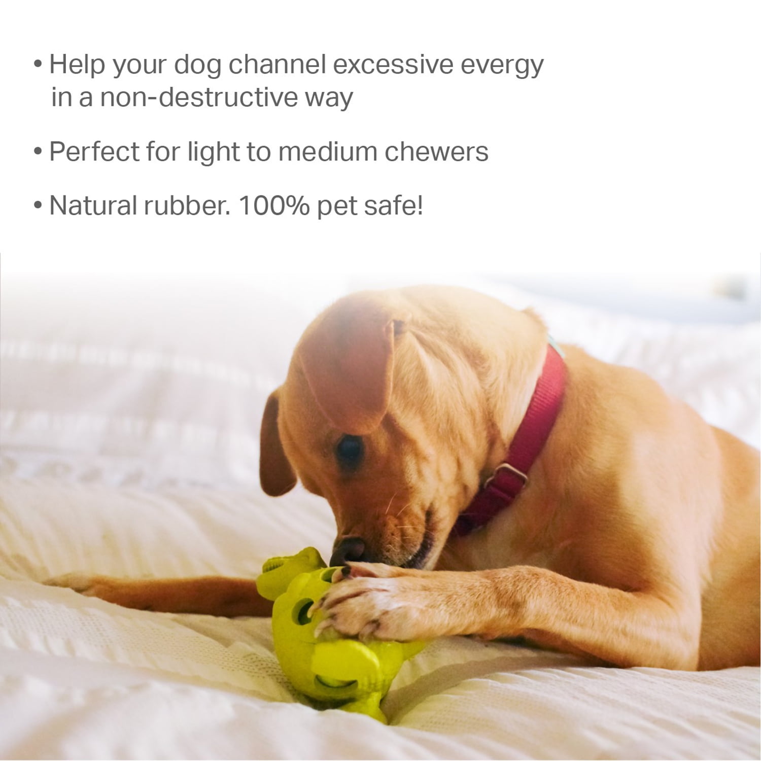 Pefilos Dog Chew Toys, Durable Dog Toys for Teething with Natural Rubber, Small and Medium Dog (Green+Orange) Pefilos Dog Chew Toys, Durable Dog Toys for Teething with Natural Rubber, Small and Medium Dog (Green+Orange)