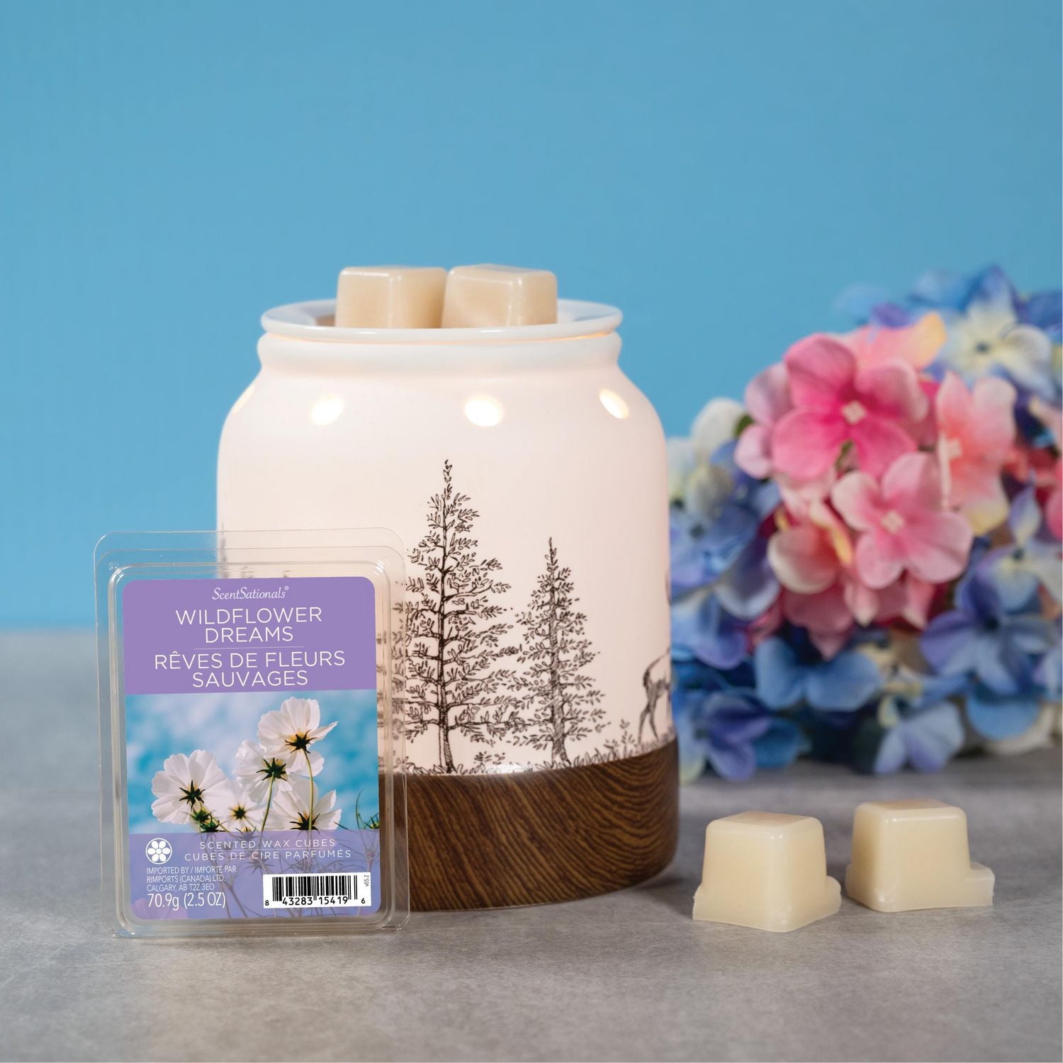 ScentSationals, Scented Wax Cubes, Wildflower Dreams