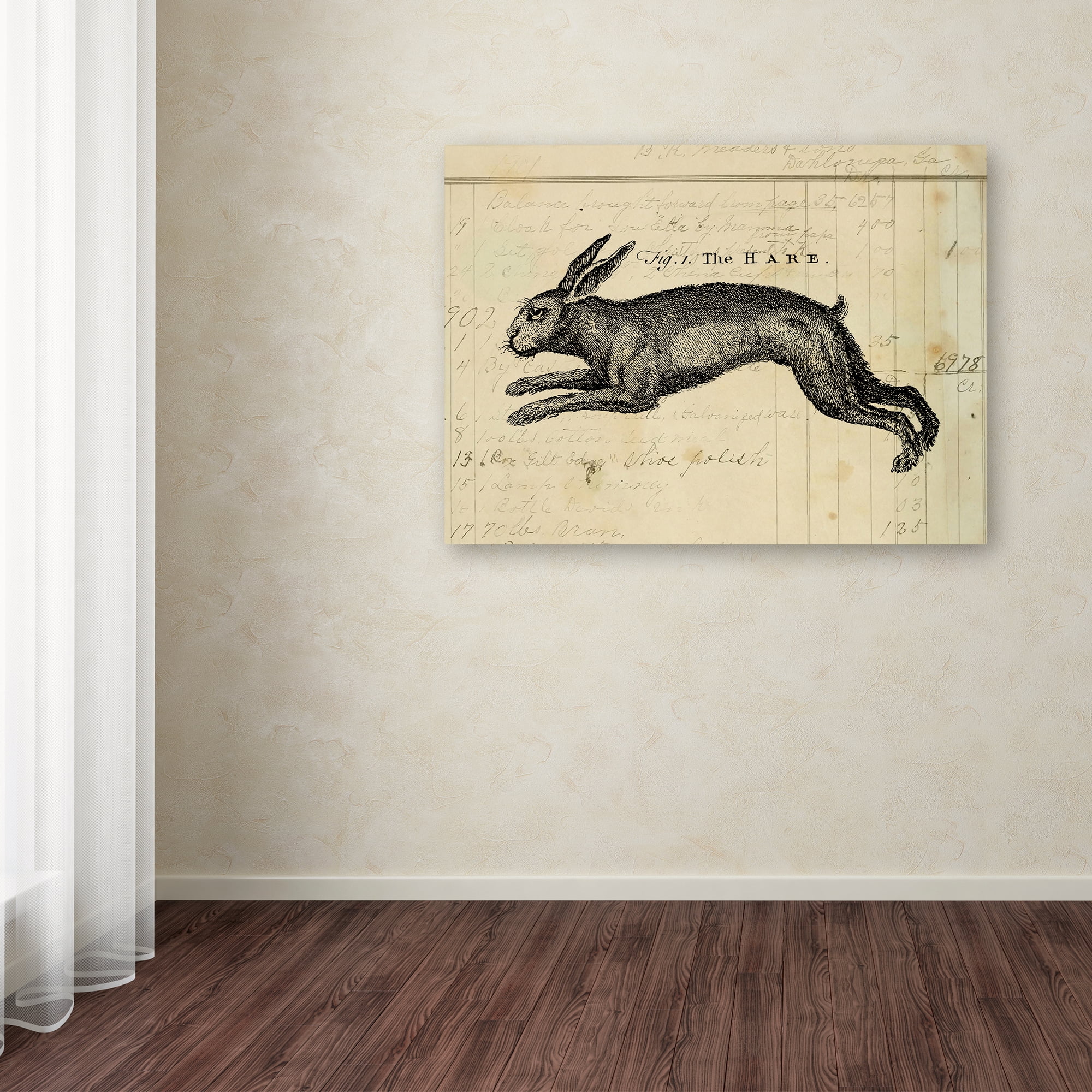 Trademark Fine Art 'The Hare' Canvas Art by Marcee Duggar